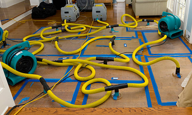 Professional Basement Flood Cleanup technician working in Reno, OH